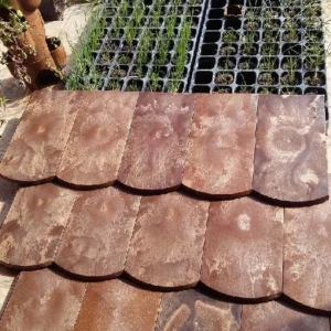 Teja Madera Líquida